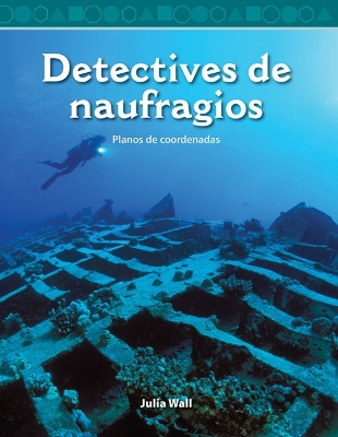 Book cover for Detectives de naufragios