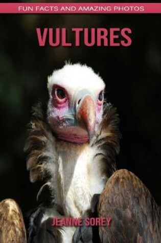 Cover of Vultures