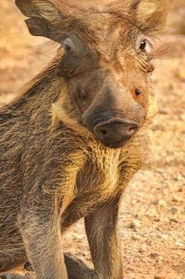 Book cover for Adorable Baby Warthog in Africa Journal
