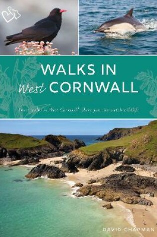 Cover of Walks in West Cornwall