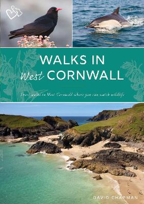 Cover of Walks in West Cornwall