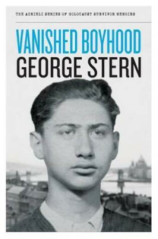 Cover of Vanished Boyhood