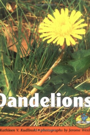 Cover of Dandelions