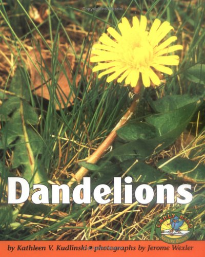 Book cover for Dandelions