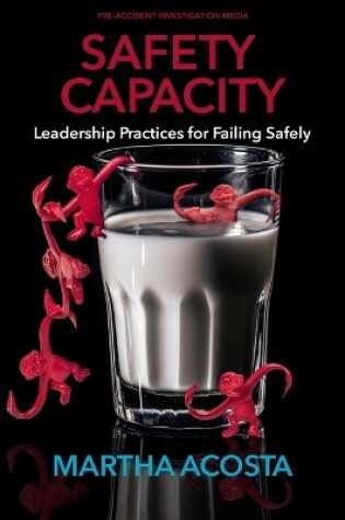 Cover of Safety Capacity