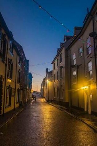 Cover of A Narrow Alley in Cromer, England