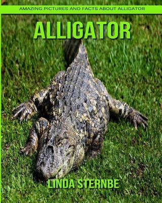 Book cover for Alligator