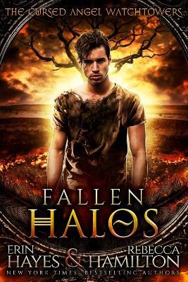 Book cover for Fallen Halos