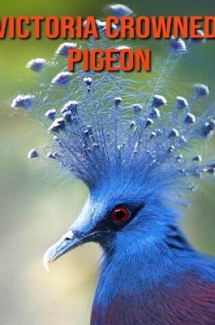 Cover of Victoria Crowned Pigeon