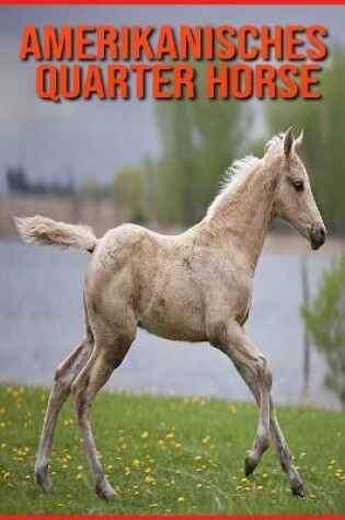 Cover of Amerikanisches Quarter Horse