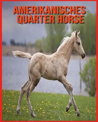 Book cover for Amerikanisches Quarter Horse