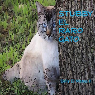 Book cover for Stubby el Raro Gato