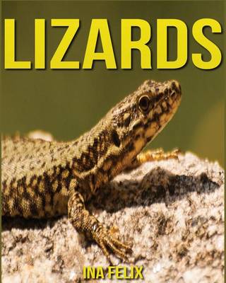 Book cover for Lizards