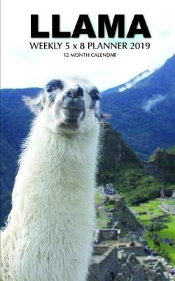 Book cover for Llama Weekly 5 X 8 Planner 2019