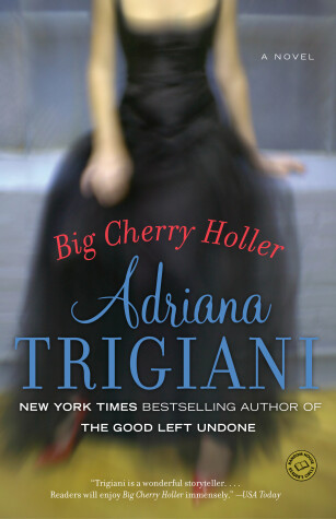 Book cover for Big Cherry Holler