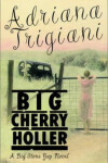 Book cover for Big Cherry Holler