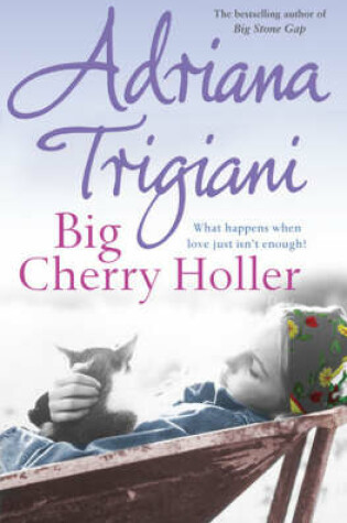 Cover of Big Cherry Holler