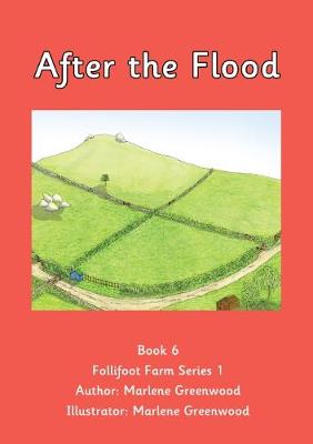 Book cover for After the Flood