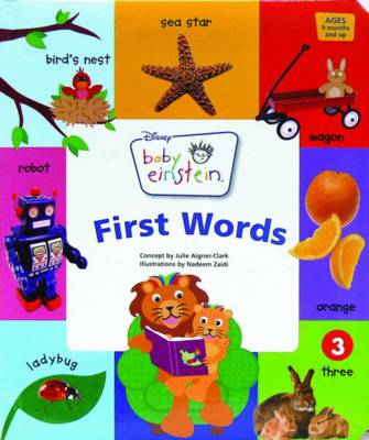 Book cover for Baby Einstein: First Words
