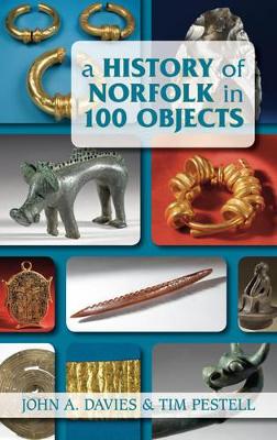 Book cover for A History of Norfolk in 100 Objects