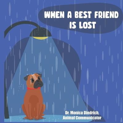 Book cover for When A Best Friend Is Lost