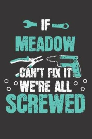 Cover of If MEADOW Can't Fix It