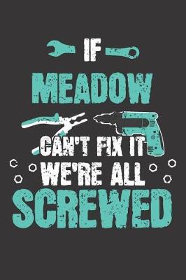 Book cover for If MEADOW Can't Fix It