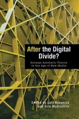 Cover of After the Digital Divide?