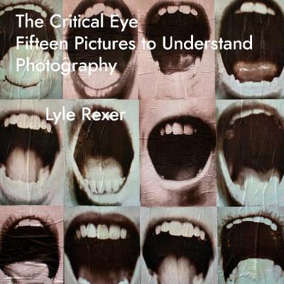 Book cover for The Critical Eye