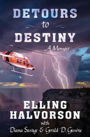 Cover of Detours to Destiny