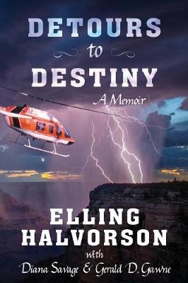 Book cover for Detours to Destiny