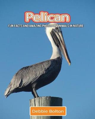 Book cover for Pelican