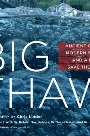 Cover of The Big Thaw