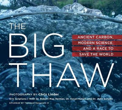 Cover of The Big Thaw