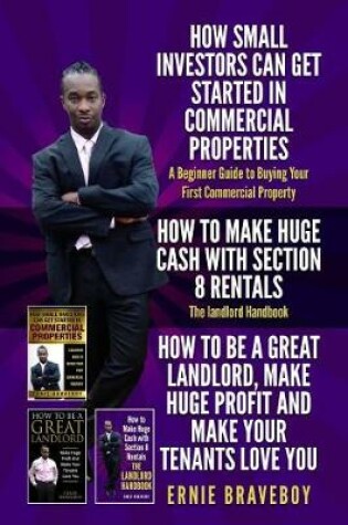 Cover of How Small Investors Can Get Started in Commercial Properties a Beginner Guide to Buying Your First Commercial Property How to Make Huge Cash with Section 8 Rentals the Landlord Handbook