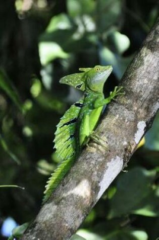 Cover of Hello Cute Green Basilisk Lizard on a Tree Branch Journal