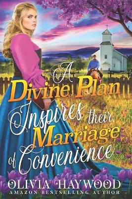 Book cover for A Divine Plan Inspires their Marriage of Convenience