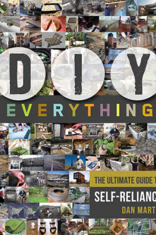 Cover of DIY Everything