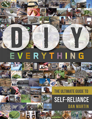 Book cover for DIY Everything