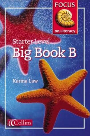 Cover of Starter Level Big Book B