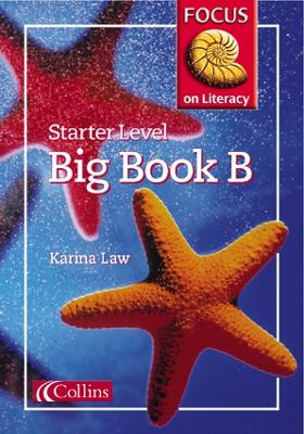 Cover of Starter Level Big Book B