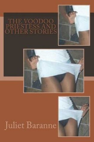 Cover of The Voodoo Priestess and other Stories