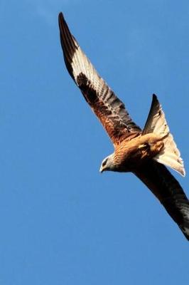 Book cover for Red Kite Raptor Soaring High in the Sky Journal