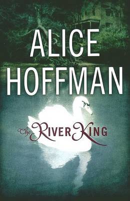 Book cover for The River King