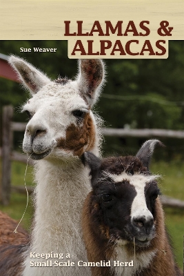 Book cover for Llamas and Alpacas