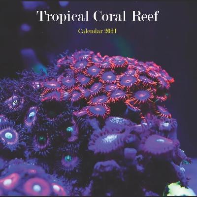 Book cover for Tropical Coral Reef Calendar 2021