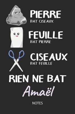 Book cover for Rien ne bat Amael - Notes