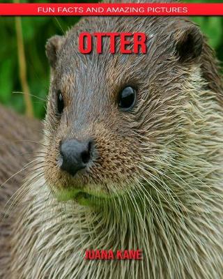 Book cover for Otter