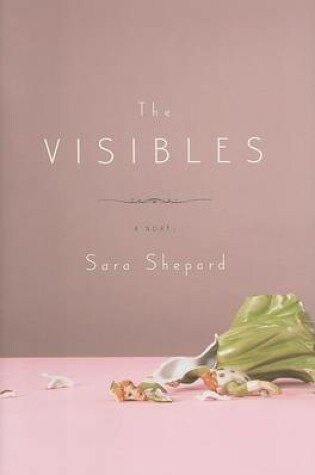 Cover of The Visibles