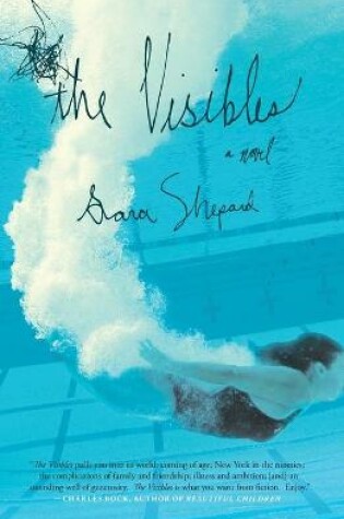 Cover of The Visibles